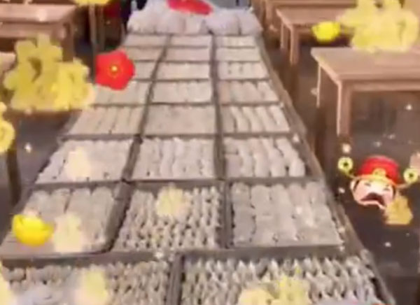 新年快乐！