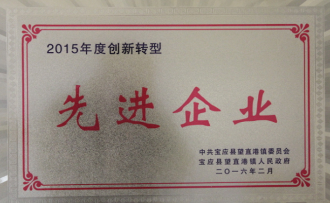 公司近期所获宝应县望直港镇党委、政府授予的荣誉
