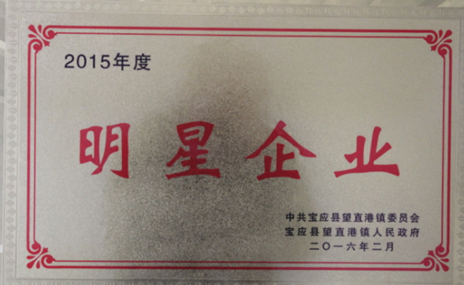 公司近期所获宝应县望直港镇党委、政府授予的荣誉