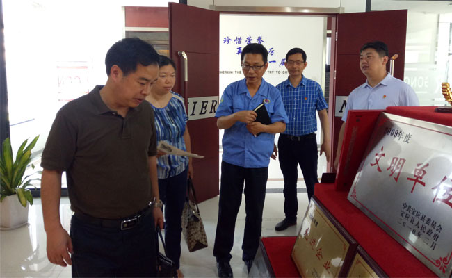 市委组织部调研香蕉视频911党支部工作室